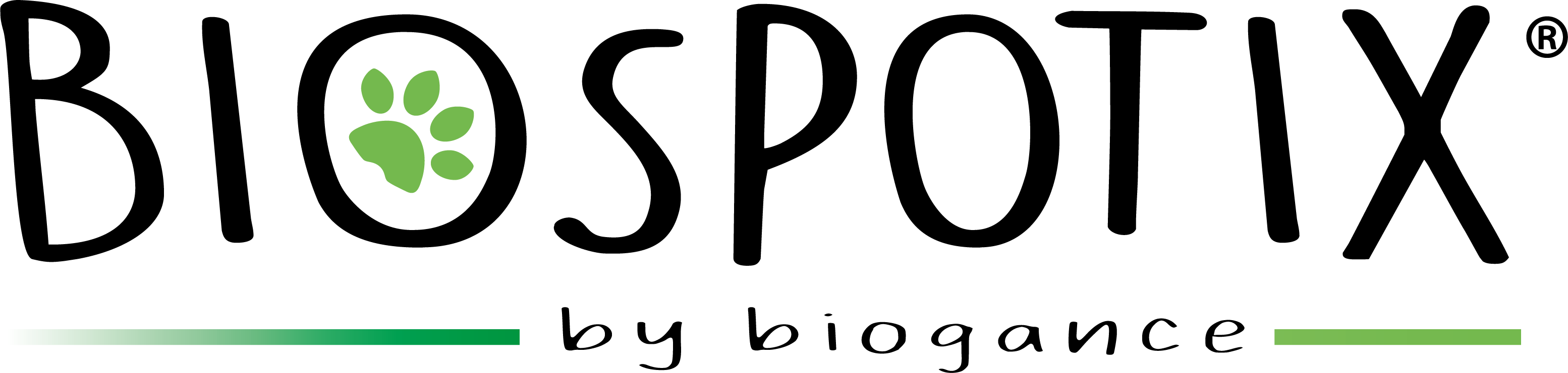 Image icon