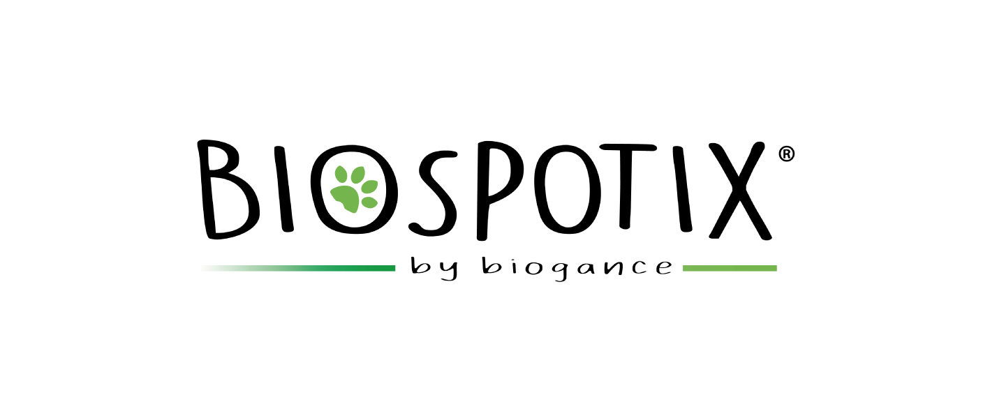Image icon