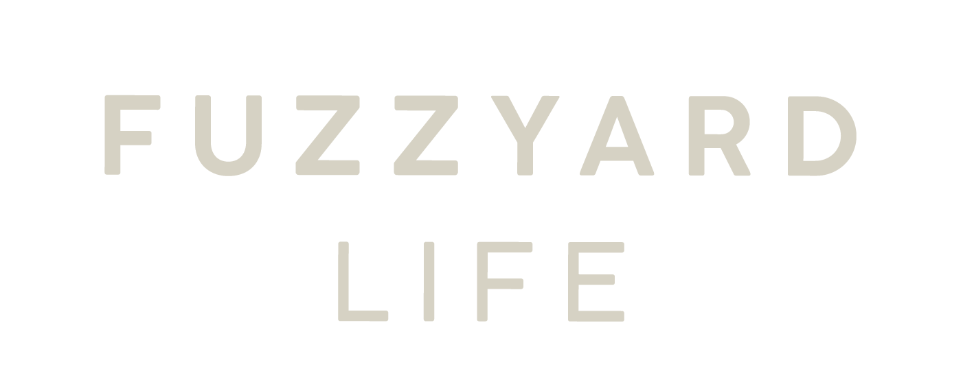 Image icon