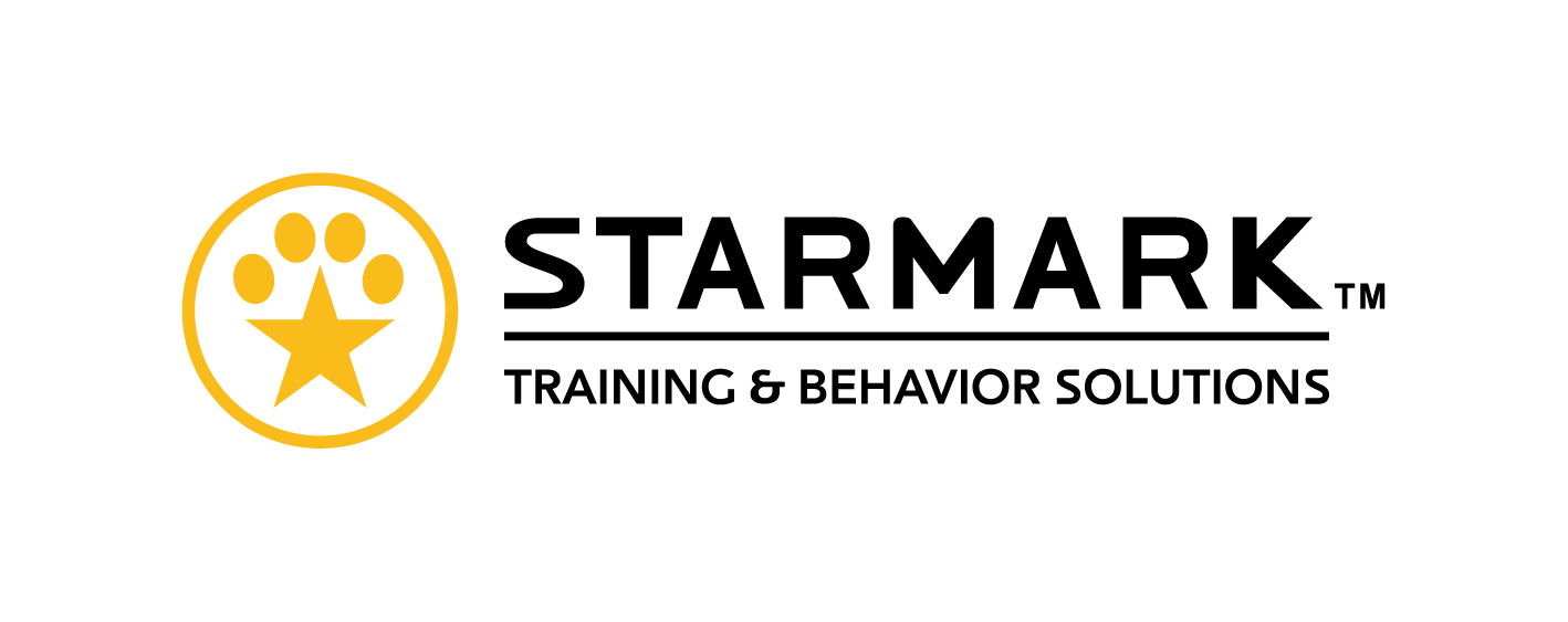 Image icon